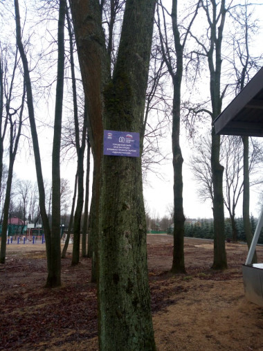 gorodskoj-park-ul-proleta