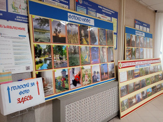 о Родине и о себе рассказали посетителям выставки участники фотоконкурса - фото - 1