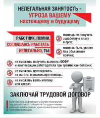 негативные последствия нелегальной занятости работников и неофициальной оплаты труда - фото - 2