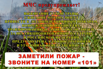 памятка о недопустимости выжигания сухой травы - фото - 1