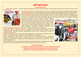 памятки по профилактике заразных болезней животных - фото - 4
