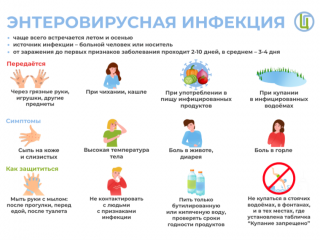 энтеровирусные инфекции - фото - 1