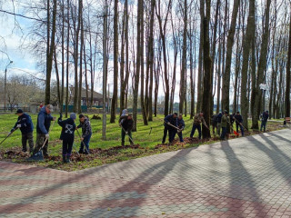 сегодня, 20 апреля, в Смоленской области прошел общеобластной субботник - фото - 10