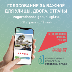 голосование за важное для улицы ,двора , страны - фото - 1