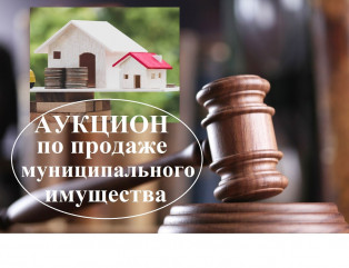 акцион по продаже муниципального имущества - фото - 1